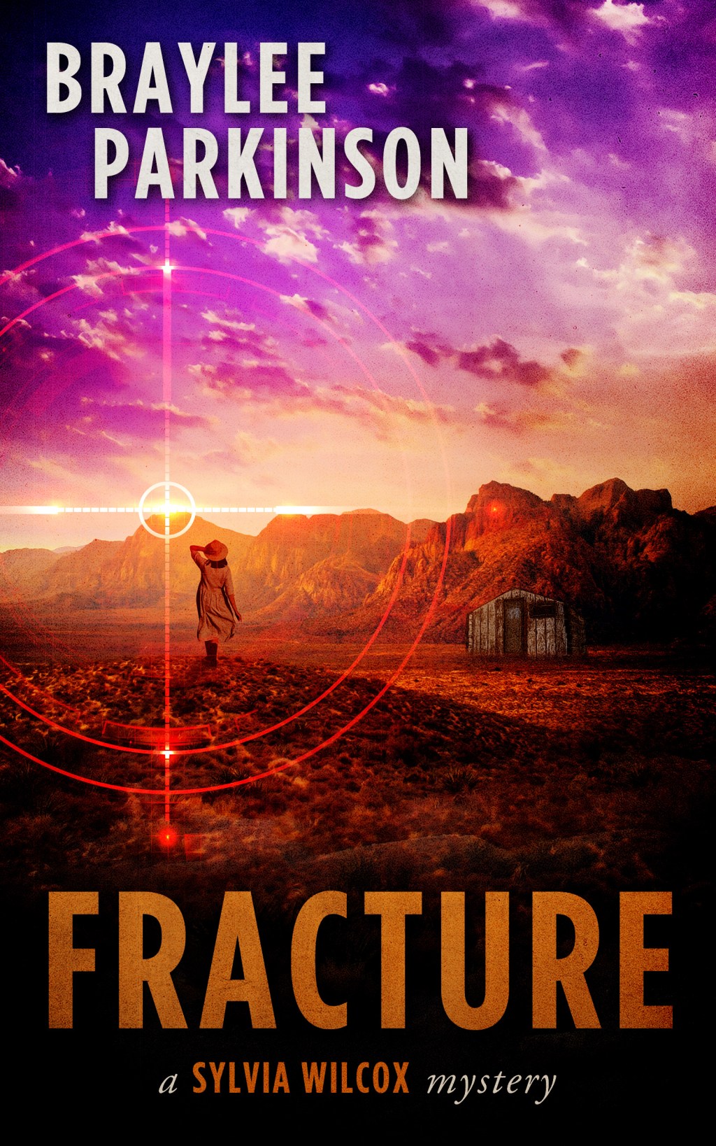 Fracture: A Sylvia Wilcox Mystery Book&nbsp;3